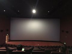 -悦江新远影城IMAX