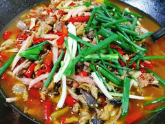 鸡杂-鹏林天龙鸡杂