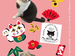 -猫音日语留学培训