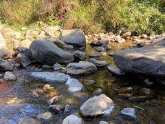 -梧桐山风景名胜区