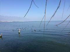 -大理洱海