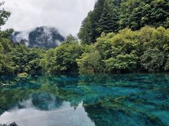 -九寨沟-树正沟