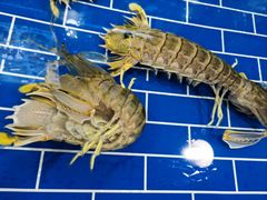 -醉壹号海鲜大排档(厦门美食地标店)