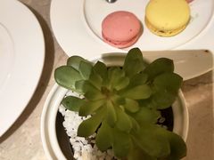 -富力丽思卡尔顿酒店·香荟全日制餐厅