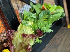 -九鼎轩脆毛肚火锅(三钢里店)