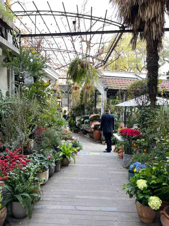 coffee tree(武康路店)-"单位附近,有时候打牙祭就去这家午市套餐,.