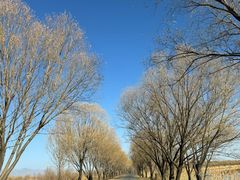 -野鸭湖国家湿地公园