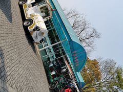 -上海海湾国家森林公园