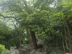 -汇龙潭