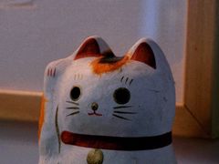 -知亘茶食
