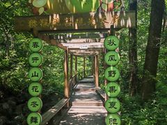 -大岭沟猕猴桃谷风景区