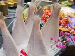 极品耗儿鱼-锅哥有料老火锅(金港国际店)