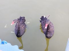 -南大港湿地风景区