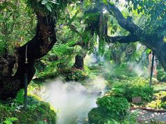 -Chom Cafe and Restaurant