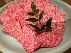 -然锅料理