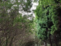 -苏州河梦清园环保主题公园