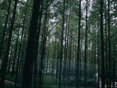 -河南省黄河迎宾馆