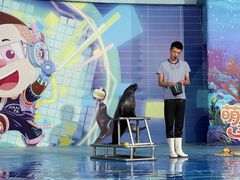 -郑州方特梦幻王国