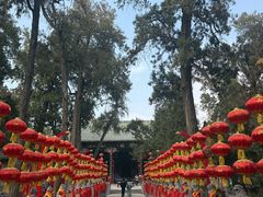-关林