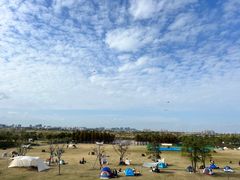 -春花秋色城市公园