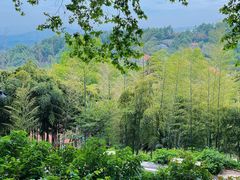 -莫干山风景区