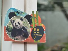 -石排湾郊野公园