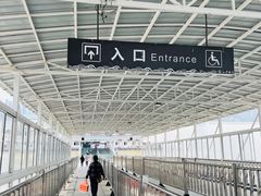 -武汉关码头(轮渡站)