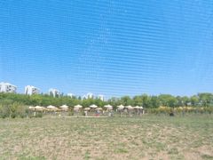 -天津东丽湖风景区