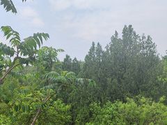 -白水寺森林公园