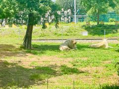 -秦皇岛野生动物园