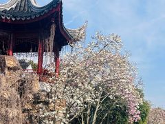 -八大山人梅湖景区