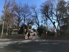 -井之头恩赐公园