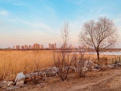 -绿堤公园