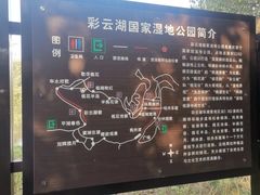 -重庆彩云湖湿地公园