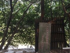 景点-滴水岩森林公园