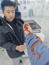-神奇动物撸宠馆·羊驼·小浣熊·异宠(豫园店)