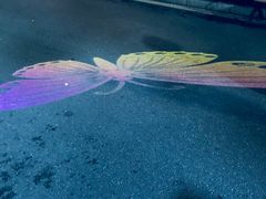 -锦江乐园舞狸花花游园会(夜场专享)