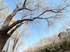 -自然谷恐龙园