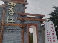 -大通湖