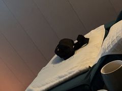 -道合堂·中式按摩·spa(民治店)