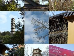 -江心屿景区