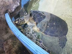 -鸿通城购物中心