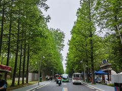 -日照海滨国家森林公园