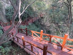 -大岭沟猕猴桃谷风景区