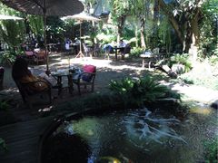 -Fern Forest Cafe