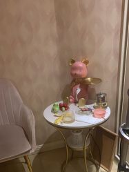 -雅曼妮spa美容养生