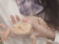 -藦茜花园宠物主题亲子互动体验馆(国顺东路店)