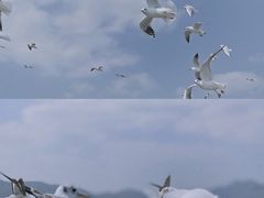 -海埂大坝