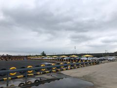 -胜华驾校·小猫学车(银都店)