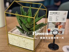 -gaga(金光华店)